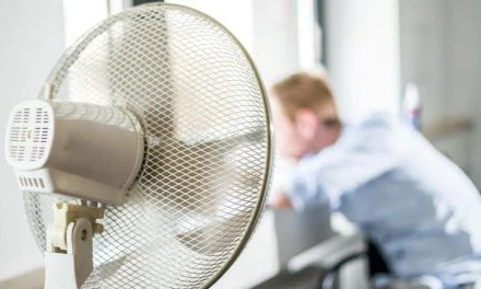 Arbeitsrecht: Ab wann gibt es im Büro eigentlich Hitzefrei? – WELT