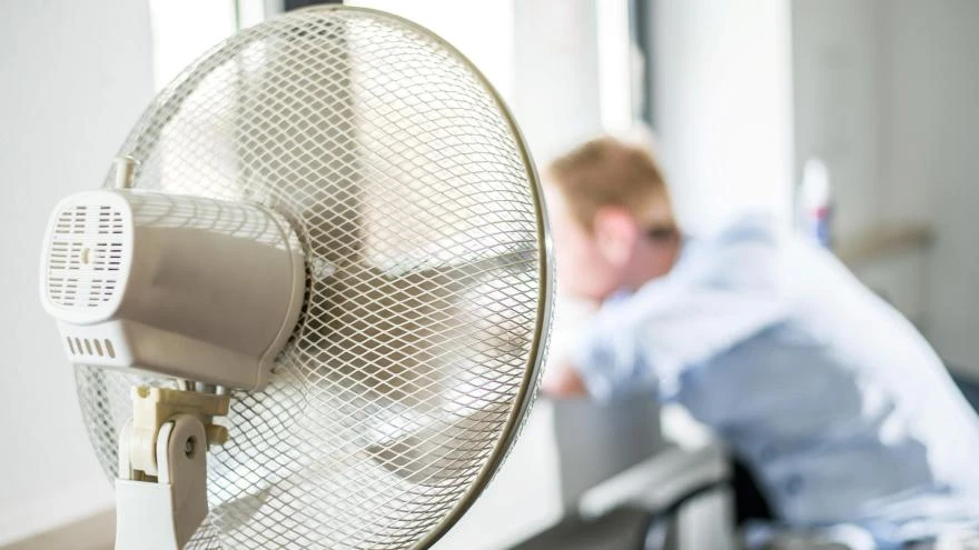 Arbeitsrecht: Ab wann gibt es im Büro eigentlich Hitzefrei? – WELT