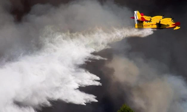Deutschland besitzt kein Löschflugzeug. Nicht ein einziges.