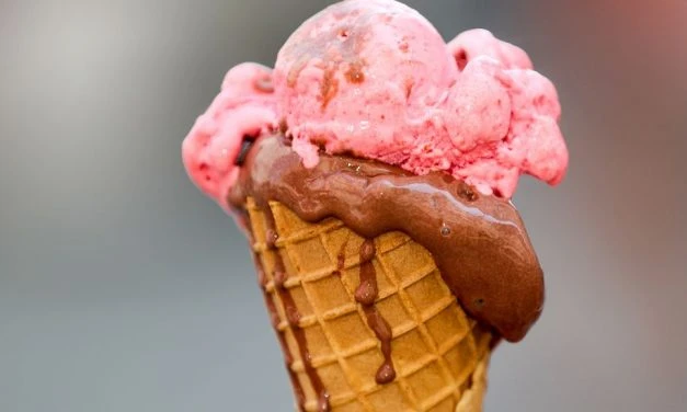 Hitzewelle – Ideale Voraussetzungen für blühenden Unsinn