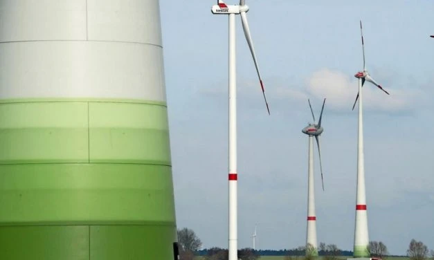 Kehrtwende: Brandenburg will Windkraftprivileg kippen