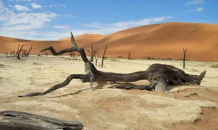 Geheimtipp Nord-Namibia: Abenteuer im unentdeckten Ovamboland