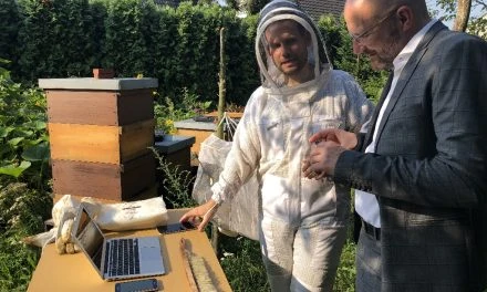Digitales: Am Bienenstock mit dem Smartphone