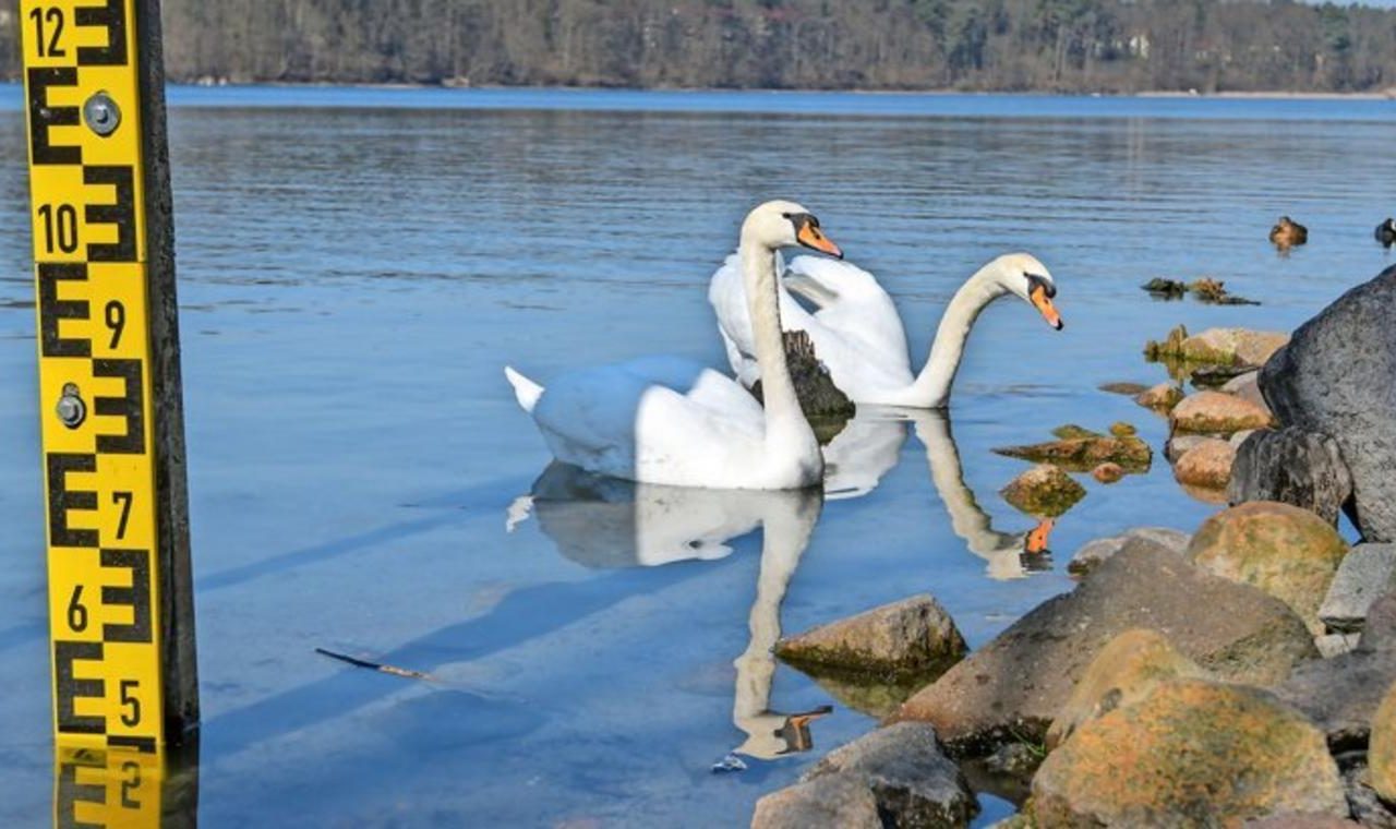 Gutachten – Klimawandel und Wasserentnahme: Pegel im Straussee sinkt bedrohlich – MAZ – Märkische Allgemeine