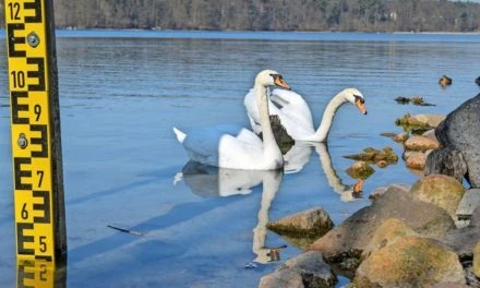 Gutachten – Klimawandel und Wasserentnahme: Pegel im Straussee sinkt bedrohlich – MAZ – Märkische Allgemeine